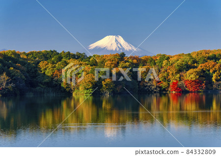 從秋天的多摩湖堤防頂部看到的湖面和富士山 從秋天的多摩湖堤防頂部看到的湖面和富士山 84332809