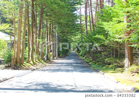 Karuizawa, a tree-lined road lined with villas 84333382