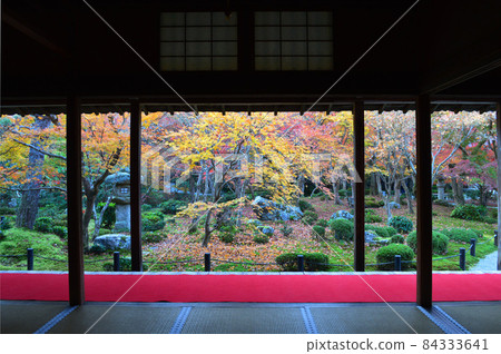 The frame garden of Enkoji Temple in Kyoto City, which was worshiped in the early morning of Kinshu in 2021, is beautiful. The frame garden of Enkoji Temple in Kyoto City, which was worshiped in the early morning of Kinshu in 2021, is beautiful. 84333641