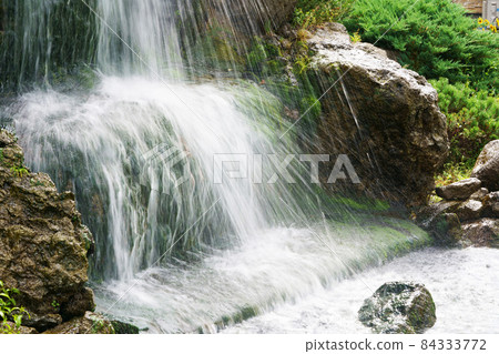 Water flow in the forest 84333772