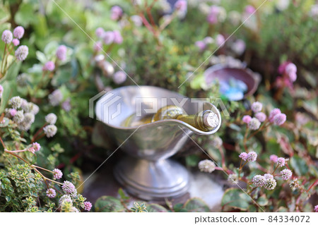 我的花園 我的花園 84334072