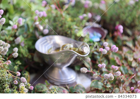 我的花園 我的花園 84334073