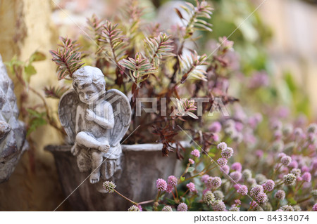 My garden My garden 84334074