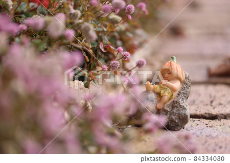 我的花園 我的花園 84334080