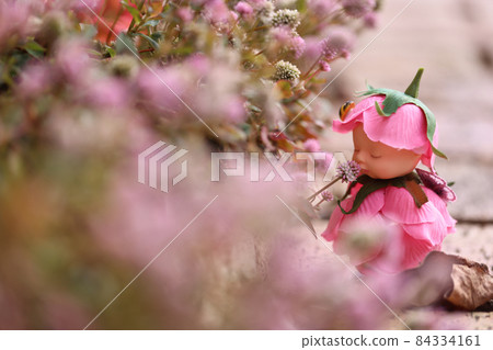 My garden My garden 84334161