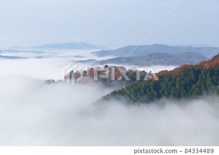 備中松山城，天空之城，雲海秋葉之美 84334489