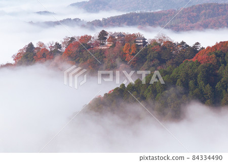 Bitchu Matsuyama Castle, a castle in the sky with beautiful sea of clouds and autumn leaves 84334490