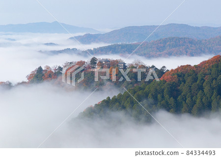 Bitchu Matsuyama Castle, a castle in the sky with beautiful sea of clouds and autumn leaves 84334493