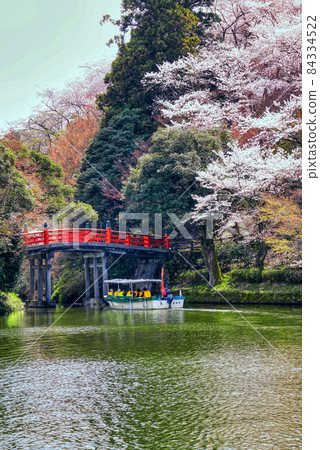 高岡古城公園櫻花噴泉B 高岡古城公園櫻花噴泉B 84334522