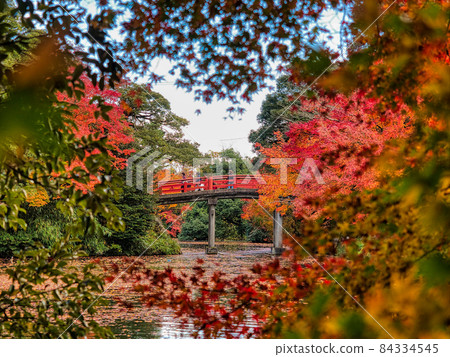 高岡古城公園秋葉朝陽橋14 84334545