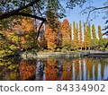 Color photo of a pond with beautiful autumn leaves 84334902