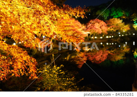廣島樹景園燈火通明的園景 廣島樹景園燈火通明的園景 84335281