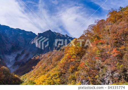 （群馬縣）谷川岳一倉澤的秋葉 84335774