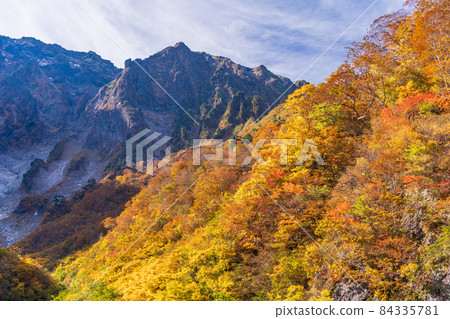 (Gunma Prefecture) Tanigawadake Ichinokurazawa's autumn leaves 84335781