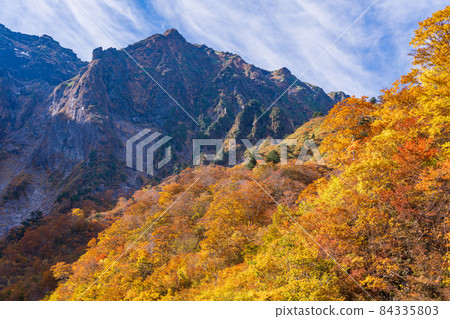 (群馬縣)谷川岳一倉澤的秋葉 (群馬縣)谷川岳一倉澤的秋葉 84335803