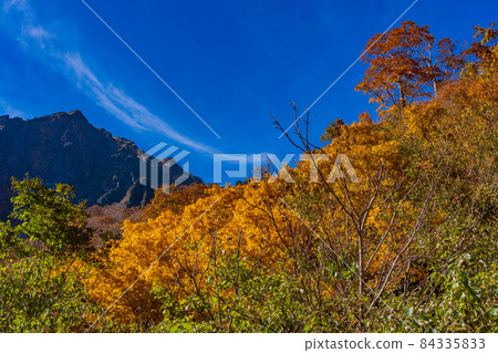 (群馬縣)谷川岳一倉澤的秋葉 (群馬縣)谷川岳一倉澤的秋葉 84335833