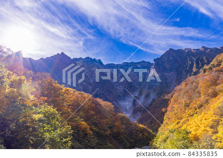 (Gunma Prefecture) Tanigawadake Ichinokurazawa's autumn leaves (Gunma Prefecture) Tanigawadake Ichinokurazawa's autumn leaves 84335835