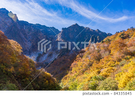 （群馬縣）谷川岳一倉澤的秋葉 84335845