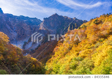 （群馬縣）谷川岳一倉澤的秋葉 84335846