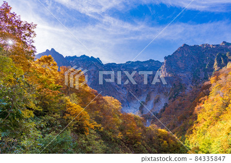 (Gunma Prefecture) Tanigawadake Ichinokurazawa's autumn leaves (Gunma Prefecture) Tanigawadake Ichinokurazawa's autumn leaves 84335847