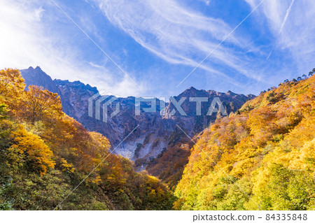 （群馬縣）谷川岳一倉澤的秋葉 84335848