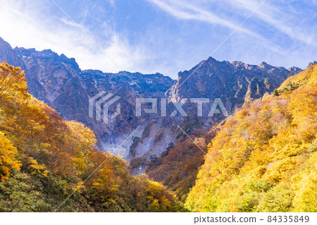 (Gunma Prefecture) Tanigawadake Ichinokurazawa's autumn leaves 84335849
