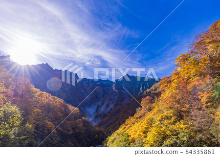 （群馬縣）谷川岳一倉澤的秋葉 84335861