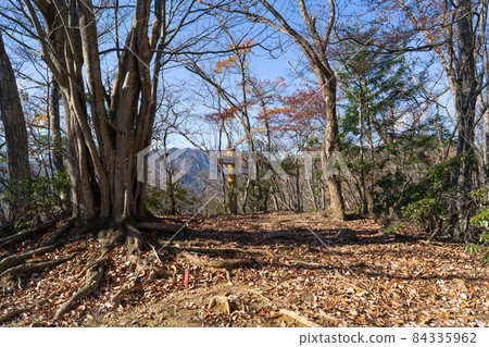從Warabisan到Sawarabi no Yu的山路上的山毛櫸林(埼玉縣飯能市) 從Warabisan到Sawarabi no Yu的山路上的山毛櫸林(埼玉縣飯能市) 84335962