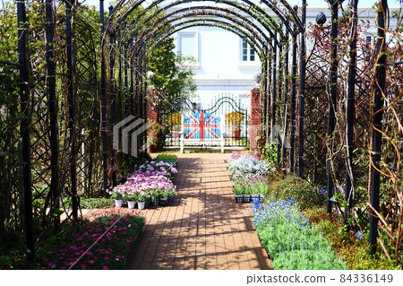 Flower path Flower path 84336149