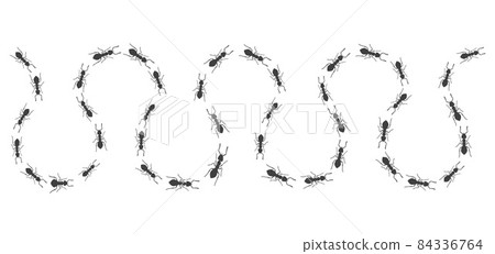 A winding trail of ants. Insects march along the line. Vector A winding trail of ants. Insects march along the line. Vector 84336764