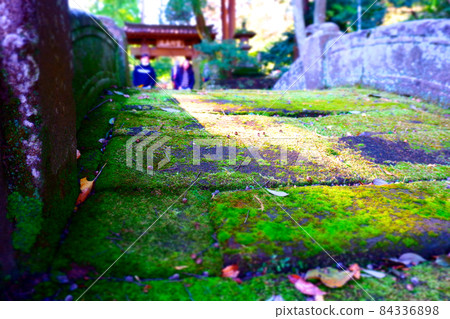 鎌倉古城鎌倉五山第四大寺院丈知寺的入口處長滿苔蘚的石橋 鎌倉古城鎌倉五山第四大寺院丈知寺的入口處長滿苔蘚的石橋 84336898