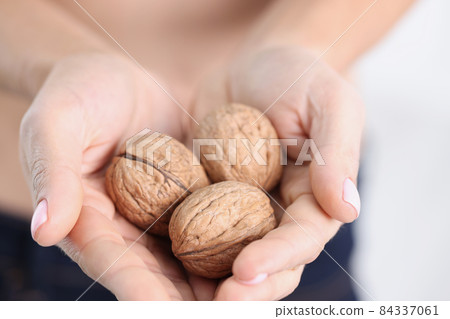 Three ripe walnuts in female hands closeup 84337061