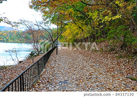 Kyoto Takara-gaike Park 84337130