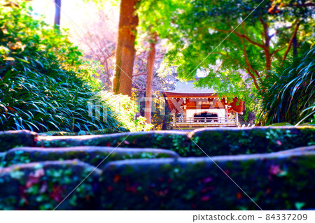鎌倉五山第四大寺院,鎌倉古城城知寺的塔門和石階 鎌倉五山第四大寺院,鎌倉古城城知寺的塔門和石階 84337209