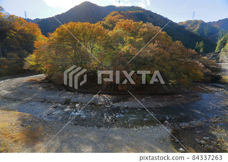 埼玉縣秩父市浦山市浦山川沿岸的浦山山溪的秋葉 84337263