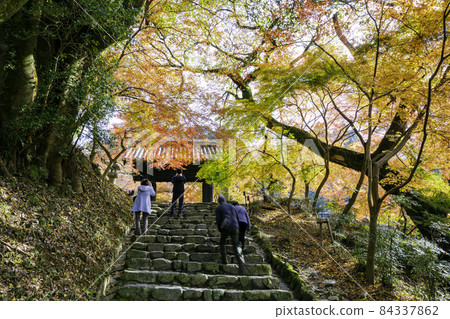 秋月美麗的秋月城遺址（福岡縣朝倉市） 84337862