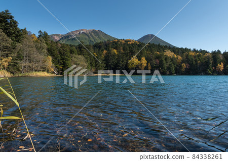 Autumn Onnetoto Autumn Onnetoto 84338261