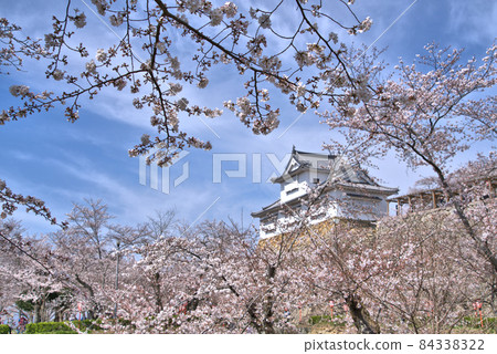 [100 Fine Castles of Japan] Tsuyama Castle Yoshino cherry tree in full bloom, Bichu turret and spring sky 4 Tsuyama City, Okayama Prefecture 84338322