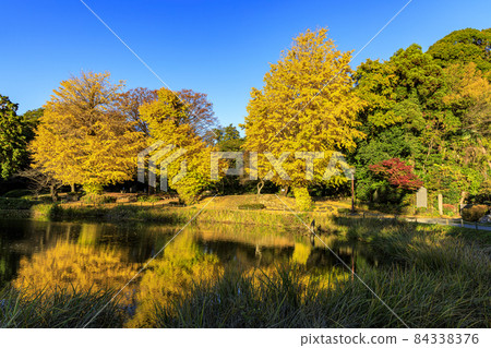 Autumn of Shomyoji Temple in Kanazawa Ward, Yokohama City, Kanagawa Prefecture, of Hojo's Bodaiji Temple, which is related to the Kamakura Shogunate Autumn of Shomyoji Temple in Kanazawa Ward, Yokohama City, Kanagawa Prefecture, of Hojo's Bodaiji Temple, which is related to the Kamakura Shogunate 84338376