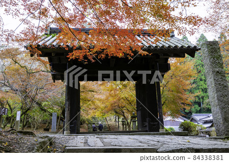 Akizuki Castle Ruins with Beautiful Autumn Leaves (Asakura City, Fukuoka Prefecture) 84338381
