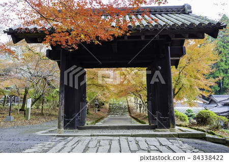秋月美麗的秋月城遺址（福岡縣朝倉市） 84338422
