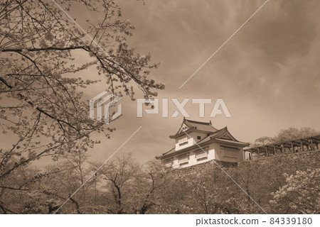 【日本百城】津山城吉野櫻花盛開,備中砲台和春空(棕褐色調)岡山縣津山市 【日本百城】津山城吉野櫻花盛開,備中砲台和春空(棕褐色調)岡山縣津山市 84339180