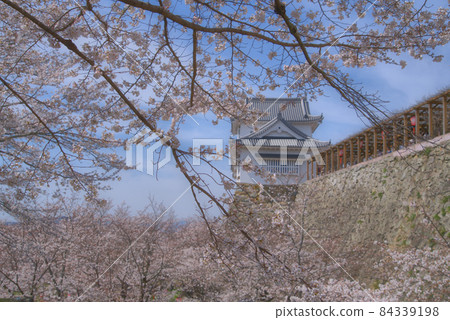【日本百城】從岡山縣津山市東部看盛開的津山城吉野櫻花和備中塔 【日本百城】從岡山縣津山市東部看盛開的津山城吉野櫻花和備中塔 84339198