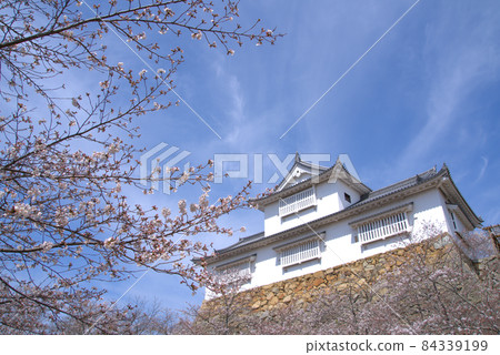 【日本百城】津山城吉野櫻花盛開,備中砲台春空10岡山縣津山市 【日本百城】津山城吉野櫻花盛開,備中砲台春空10岡山縣津山市 84339199