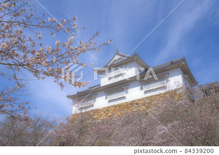 【日本百城】津山城吉野櫻花盛開，備中砲台春空9岡山縣津山市 84339200
