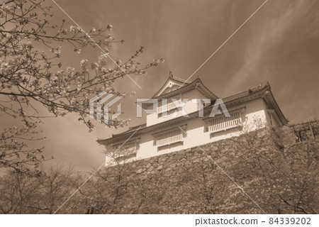【日本名城百城】仰望津山城備中砲台與盛開的吉野櫻花(棕褐色調)岡山縣津山市 【日本名城百城】仰望津山城備中砲台與盛開的吉野櫻花(棕褐色調)岡山縣津山市 84339202