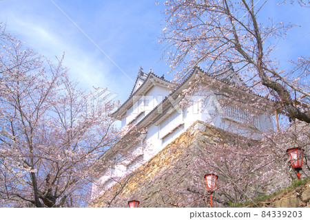 【日本百城】岡山縣津山市津山城 仰望備中砲台和盛開的吉野櫻花 【日本百城】岡山縣津山市津山城 仰望備中砲台和盛開的吉野櫻花 84339203