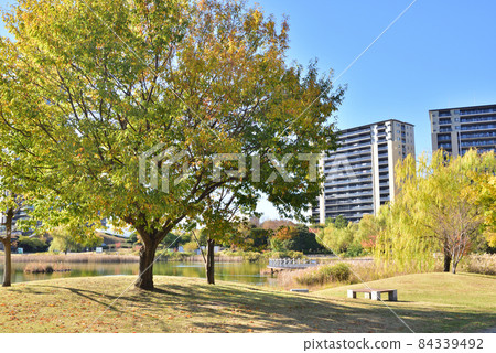 福岡島城島城中央公園新城風光 福岡島城島城中央公園新城風光 84339492