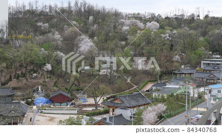 Springtime 84340768
