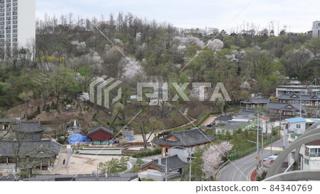 Springtime 84340769